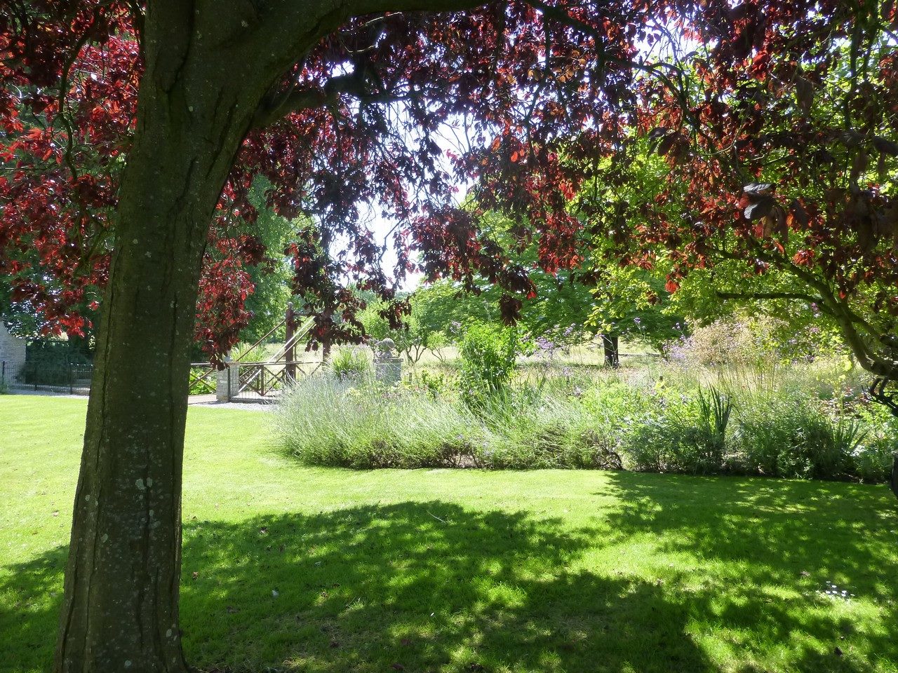 Garden at Cossington Park