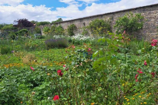 Cossington park walled vegetable garden